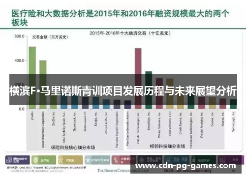 横滨F·马里诺斯青训项目发展历程与未来展望分析 横滨F·马里诺斯青训项目发展历程与未来展望分析