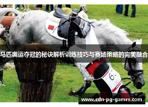 马匹奥运夺冠的秘诀解析训练技巧与赛场策略的完美融合